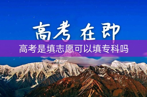 高考是填志愿可以填专科吗