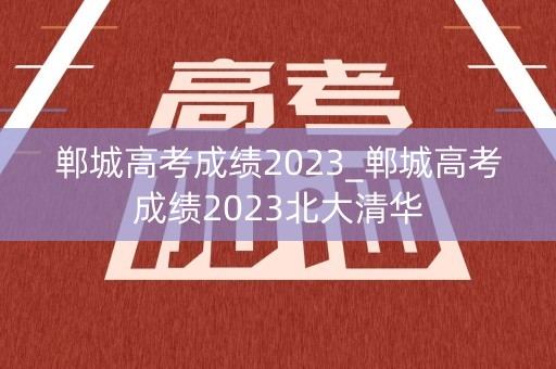 郸城高考成绩2023_郸城高考成绩2023北大清华