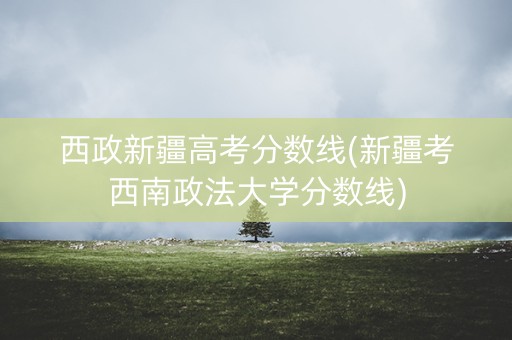 西政新疆高考分数线(新疆考西南政法大学分数线)
