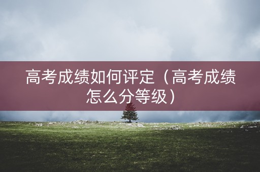 高考成绩如何评定(高考成绩怎么分等级) 高考成绩如何评定(高考成绩怎么分等级)