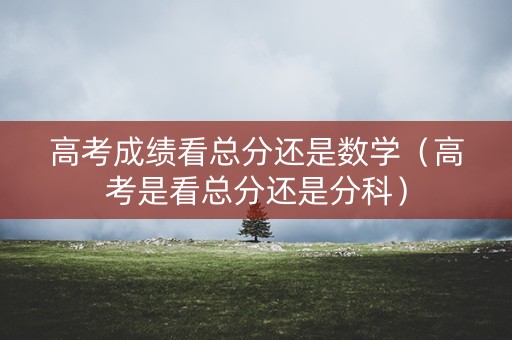 高考成绩看总分还是数学（高考是看总分还是分科）