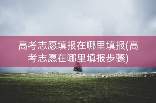 高考志愿填报在哪里填报(高考志愿在哪里填报步骤) 高考志愿填报在哪里填报(高考志愿在哪里填报步骤)