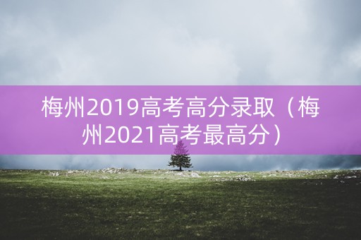 梅州2019高考高分录取(梅州2021高考最高分) 梅州2019高考高分录取(梅州2021高考最高分)
