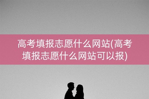 高考填报志愿什么网站(高考填报志愿什么网站可以报)