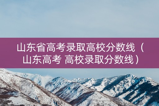 山东省高考录取高校分数线（山东高考 高校录取分数线）