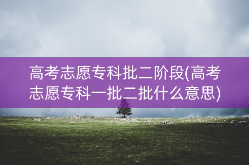 高考志愿专科批二阶段(高考志愿专科一批二批什么意思)