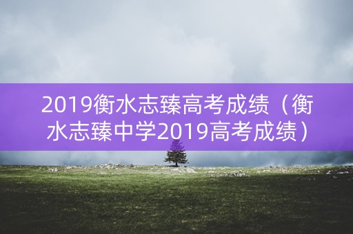 2019衡水志臻高考成绩（衡水志臻中学2019高考成绩）