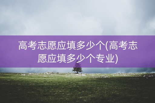 高考志愿应填多少个(高考志愿应填多少个专业)