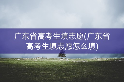 广东省高考生填志愿(广东省高考生填志愿怎么填)