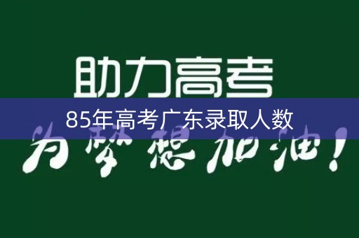 85年高考广东录取人数