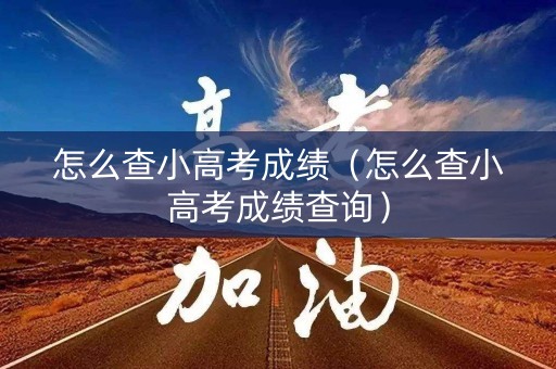 怎么查小高考成绩（怎么查小高考成绩查询）