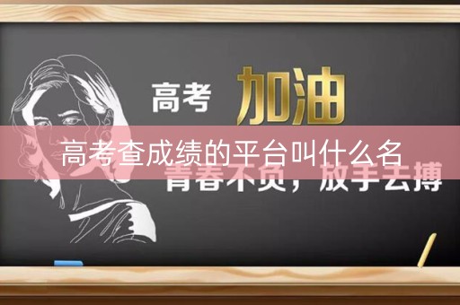 高考查成绩的平台叫什么名