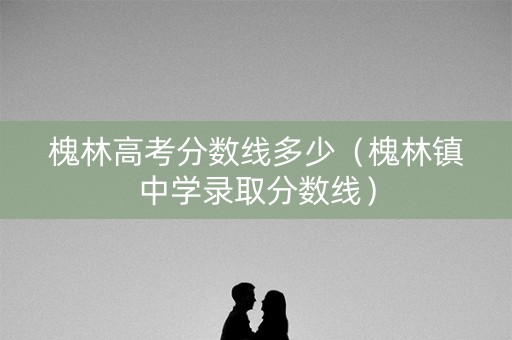 槐林高考分数线多少（槐林镇中学录取分数线）