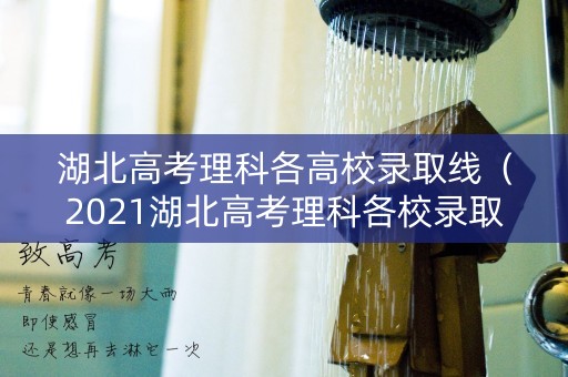 湖北高考理科各高校录取线（2021湖北高考理科各校录取分数线）
