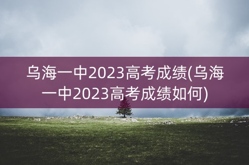 乌海一中2023高考成绩(乌海一中2023高考成绩如何) 乌海一中2023高考成绩(乌海一中2023高考成绩如何)