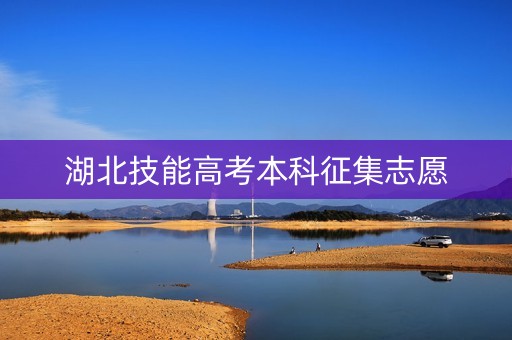 湖北技能高考本科征集志愿 湖北技能高考本科征集志愿