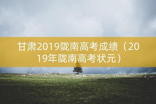甘肃2019陇南高考成绩（2019年陇南高考状元）