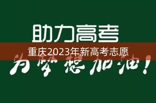 重庆2023年新高考志愿 重庆2023年新高考志愿