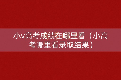 小v高考成绩在哪里看（小高考哪里看录取结果）