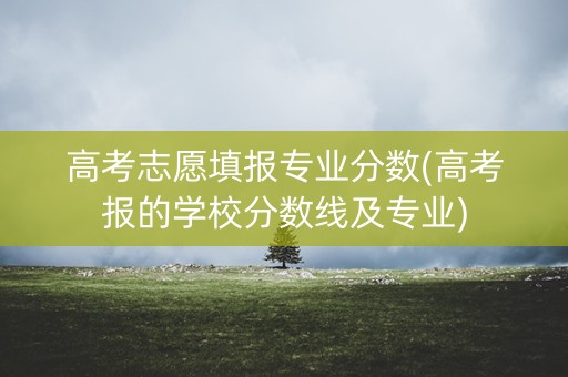 高考志愿填报专业分数(高考报的学校分数线及专业) 高考志愿填报专业分数(高考报的学校分数线及专业)
