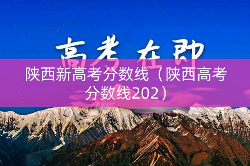 陕西新高考分数线（陕西高考分数线202）