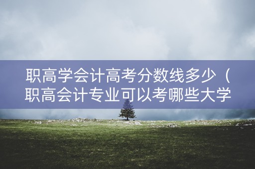 职高学会计高考分数线多少（职高会计专业可以考哪些大学）