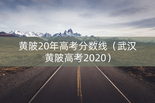 黄陂20年高考分数线（武汉黄陂高考2020）