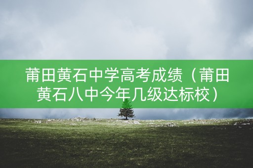 莆田黄石中学高考成绩（莆田黄石八中今年几级达标校）