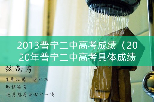 2013普宁二中高考成绩（2020年普宁二中高考具体成绩）