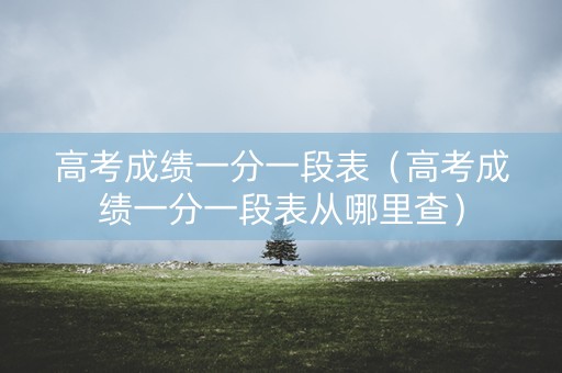 高考成绩一分一段表（高考成绩一分一段表从哪里查）