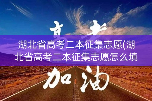 湖北省高考二本征集志愿(湖北省高考二本征集志愿怎么填)