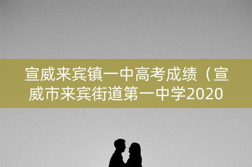 宣威来宾镇一中高考成绩（宣威市来宾街道第一中学2020年中考成绩）