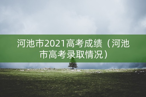 河池市2021高考成绩（河池市高考录取情况）