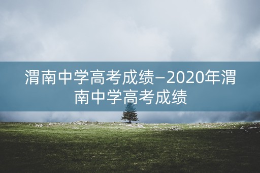 渭南中学高考成绩—2020年渭南中学高考成绩