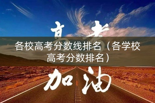 各校高考分数线排名（各学校高考分数排名）