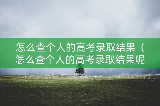 怎么查个人的高考录取结果（怎么查个人的高考录取结果呢）