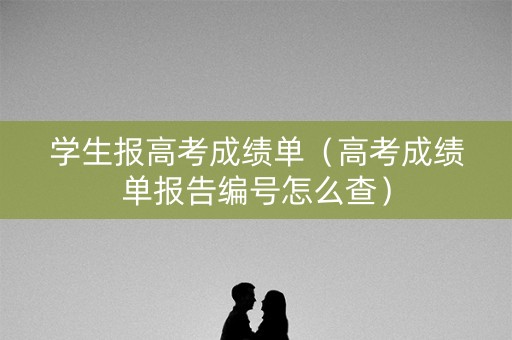 学生报高考成绩单（高考成绩单报告编号怎么查）