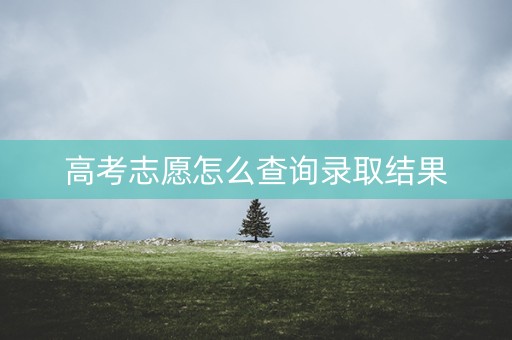 高考志愿怎么查询录取结果 高考志愿怎么查询录取结果