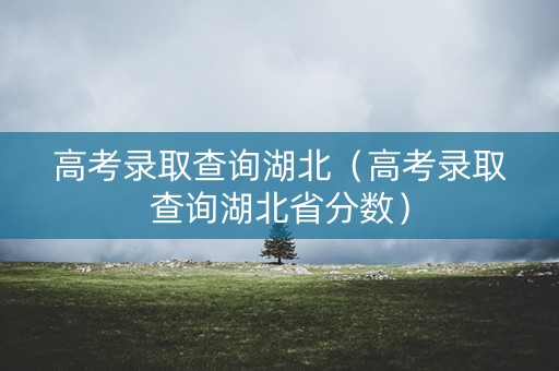 高考录取查询湖北(高考录取查询湖北省分数) 高考录取查询湖北(高考录取查询湖北省分数)