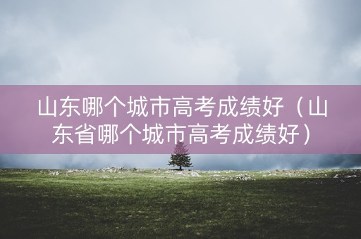 山东哪个城市高考成绩好（山东省哪个城市高考成绩好）