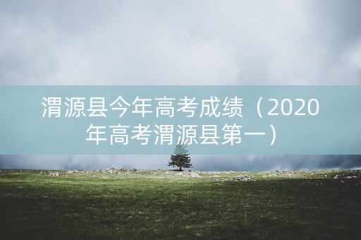 渭源县今年高考成绩（2020年高考渭源县第一）