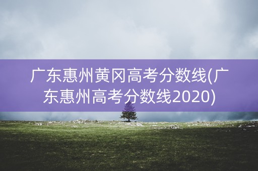 广东惠州黄冈高考分数线(广东惠州高考分数线2020)