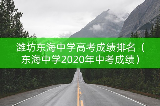 潍坊东海中学高考成绩排名（东海中学2020年中考成绩）