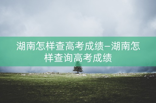湖南怎样查高考成绩—湖南怎样查询高考成绩