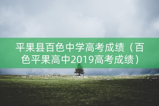 平果县百色中学高考成绩（百色平果高中2019高考成绩）