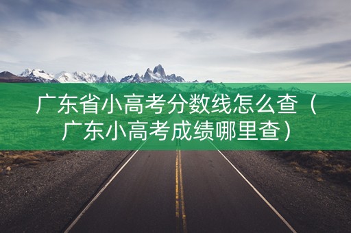 广东省小高考分数线怎么查（广东小高考成绩哪里查）