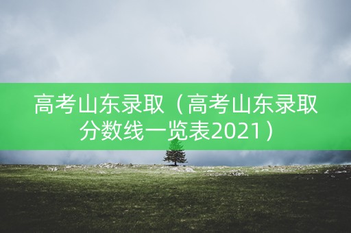 高考山东录取（高考山东录取分数线一览表2021）