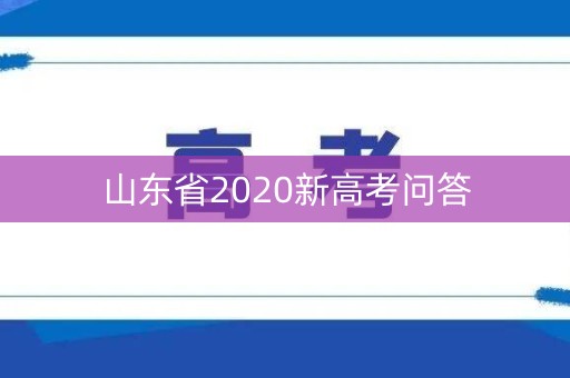 山东省2020新高考问答