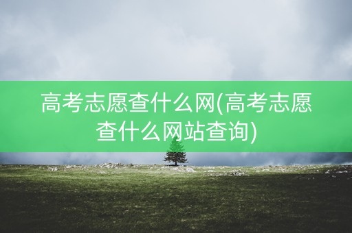 高考志愿查什么网(高考志愿查什么网站查询)