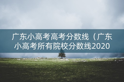广东小高考高考分数线（广东小高考所有院校分数线2020）